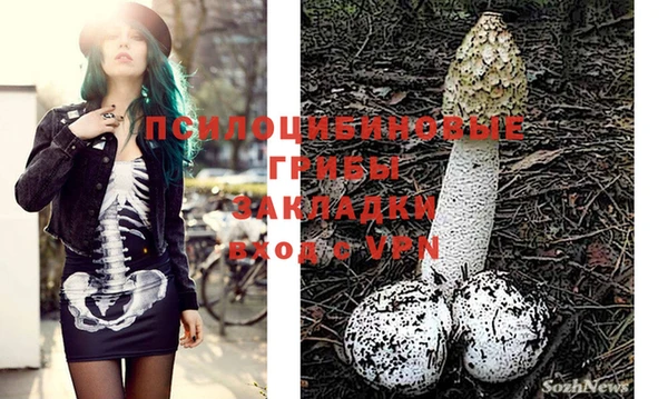 МДМА Алексеевка