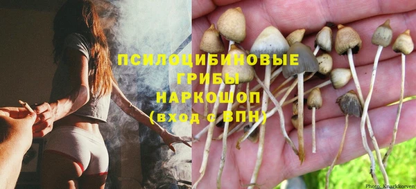 мяу мяу мука Алзамай