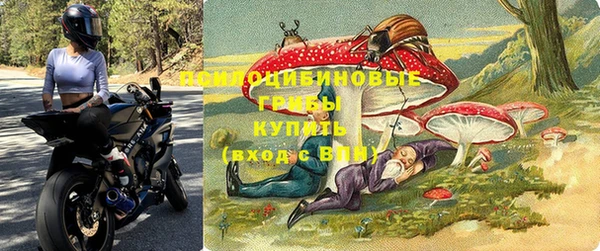 ALPHA-PVP Алексин