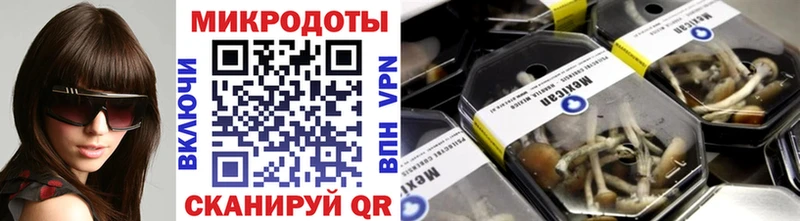 Галлюциногенные грибы GOLDEN TEACHER магазин продажи hydra ссылка Новая Ляля